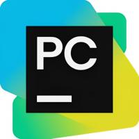Подписка JetBrains PyCharm Pro для организаций на 1 год