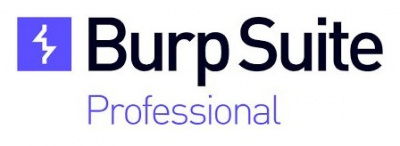 PortSwigger Burp Suite Professional 3 year subscription