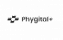 Phygital +