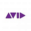 Avid