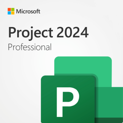 Microsoft Project Professional 2024 