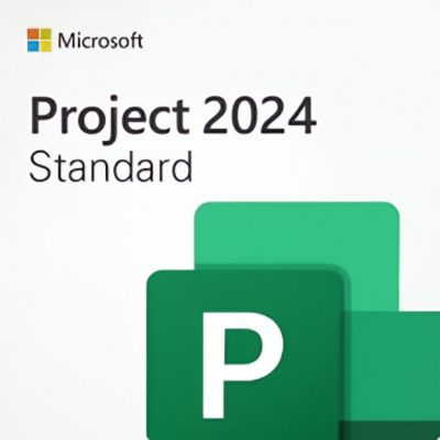 Microsoft Project Standard 2024 